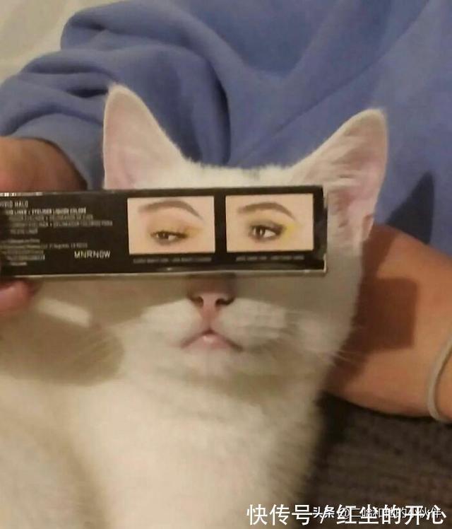 |网友分享的25个奇怪而搞笑的事情,你看过几件?