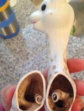 宝宝|好可怕!宝宝天天吃的牙胶和奶嘴,竟然比抹布还脏!