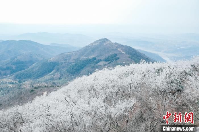 刘玲莉|雪后初霁的湖北红安老君山