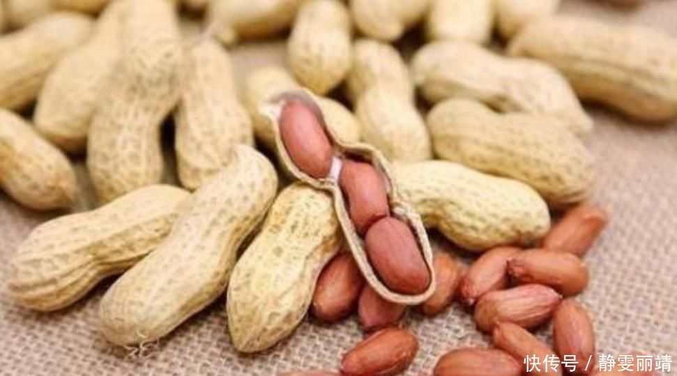 三种东西扔了很可惜,随手一砸扔进花盆里,养啥都爆盆,美极了