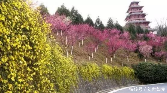 诗词|春风,是最美的春日诗词