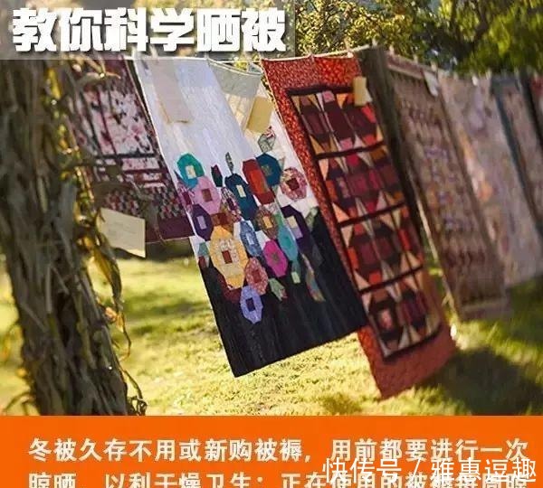 被褥|女子睫毛里长了100多只虫子! 有这个习惯的要当心了