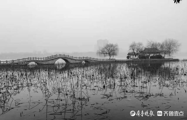 再拍大明湖，风景这边独好