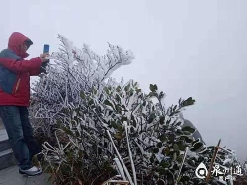 迎来|-2℃！九仙山迎来今冬首场雨雾凇！