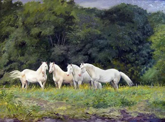 油画#加拿大画家Lili Anne Laurin的风景油画,在形色光影中倾洒出绝美风景