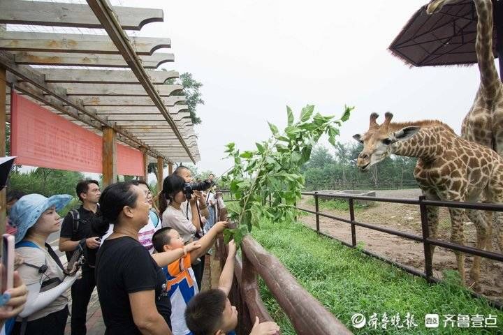 景区|端午假期首日，济南17家4A级及以上景区纳客10.8万人次