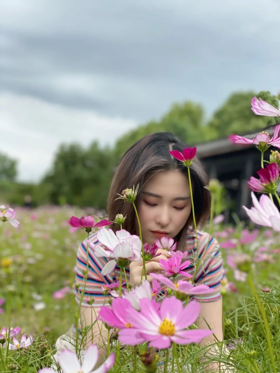 炎炎夏日来啦！赏花、观景、饮茶……带你觅夏凉！