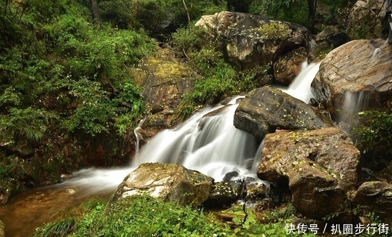 桃李天下!一代宗师叶嘉莹绝句30首。词心独具无人及,一卷长留万古芳