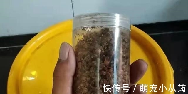 米饭|用过最好的饵料，没有之一，饵料一入水就被鲫鲤鱼疯抢