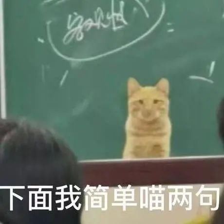 年度爱用好物重磅来袭 不看你准后悔