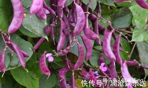 小米|女性饮食要饮食,常吃以下食物,排毒燃脂,润肤养颜,呵护子宫