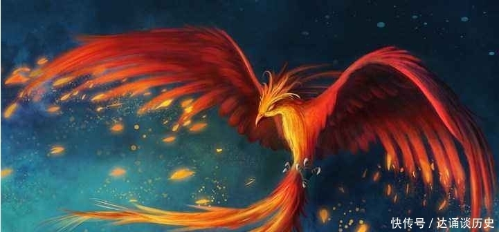 火凤凰|斗罗中仅有的5只凤凰武魂，邪火凤凰垫底，而它的实力超越昊天锤！