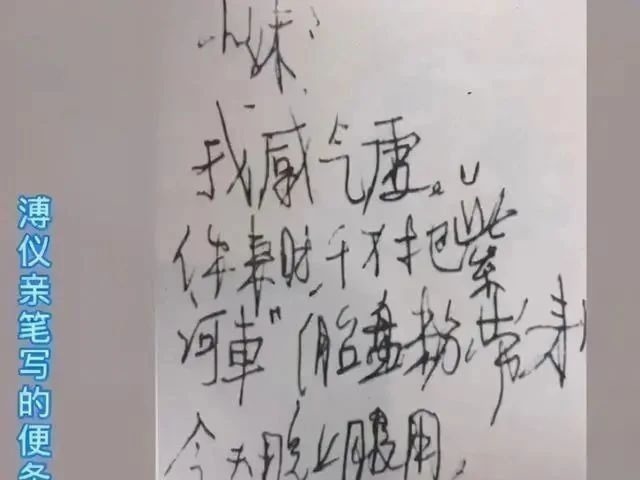 硬笔书法#溥仪生前最好的28个字迹曝光,骨力十足,个性鲜明,是无奈是结束