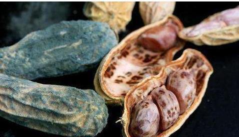 吃法|花生怎么吃最养生?医学专家提醒:2种错误吃法,会诱导心脏病