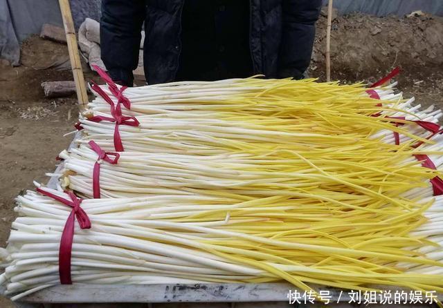 纸箱|大蒜发芽不要再扔了,教你一招,一冬天吃新鲜蒜黄,实用