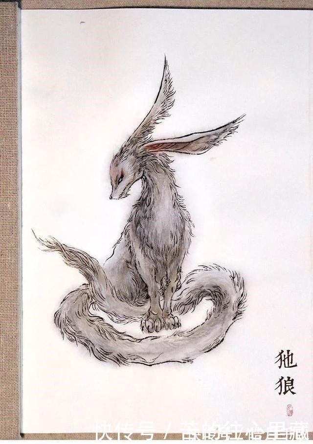 杉泽&90后画师把山海经异兽画活了,成功吸引1000多万粉