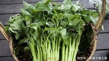 营养均衡|空心菜是“毒中之王”？ 含有大量重金属？ 医生的回答一目了然！