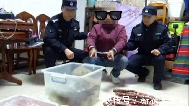 江苏男子的另类“钓鱼不空军”,连青菜也不放过,迟到的正义来了