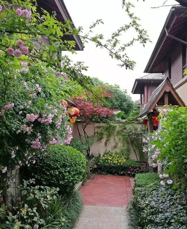 我们心中的小院, 每晚睡前都幻想着它的模样