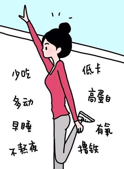 体重|在减肥之前先了解几件事,少走弯路,避开少吃多动也不瘦的问题