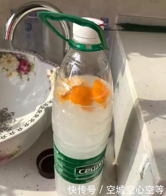 马库斯|养多肉浇灌2种“营养液”,根系发达、叶子圆润,1年变老桩