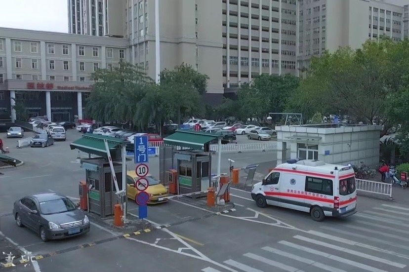 患者|广州一老人吃河豚中毒危及生命，番禺区中心医院抢救助脱险