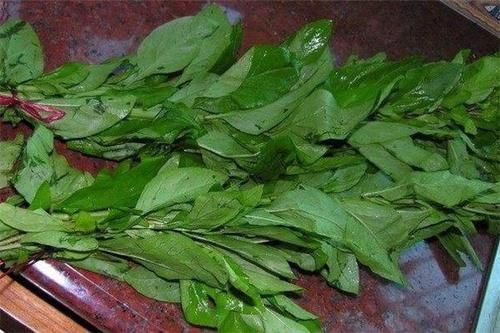 冬季来了，多吃四种养生食物，腰不疼，腿不酸，说话底气足