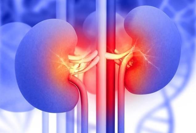 高血脂|肾友控高血压,只限盐不够!教你2点方法,降压降蛋白更护肾