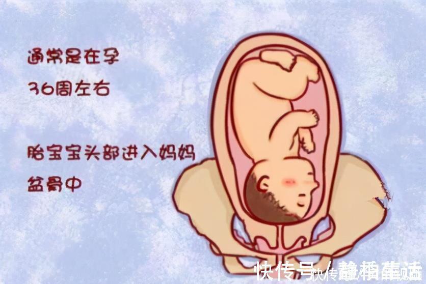 孕妇|顺产时，胎儿是如何从小小的产道出来的？网友：生个孩子真不容易