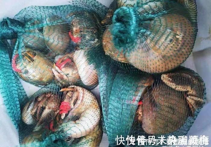 海兔|误认为是“大海螺”，花250块钱买6斤，回家上锅一蒸，太惊喜了