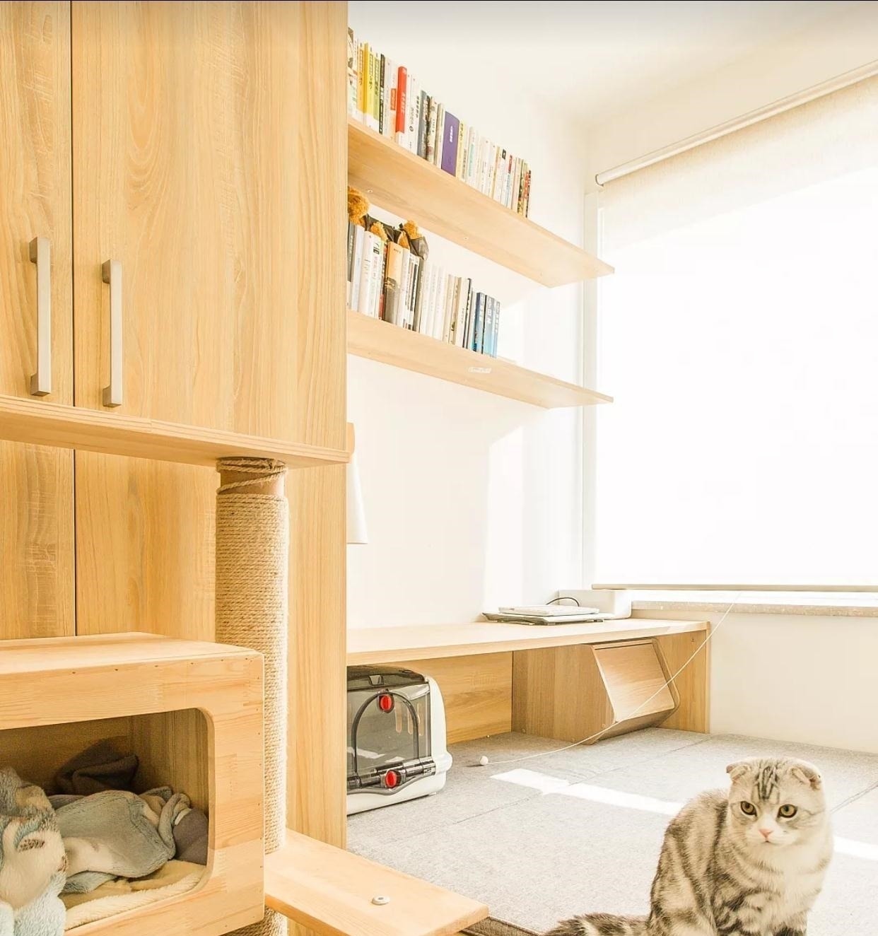 原木色|终于入住新房,漂亮极了,入户鞋柜特别喜欢,忍不住晒晒全屋!