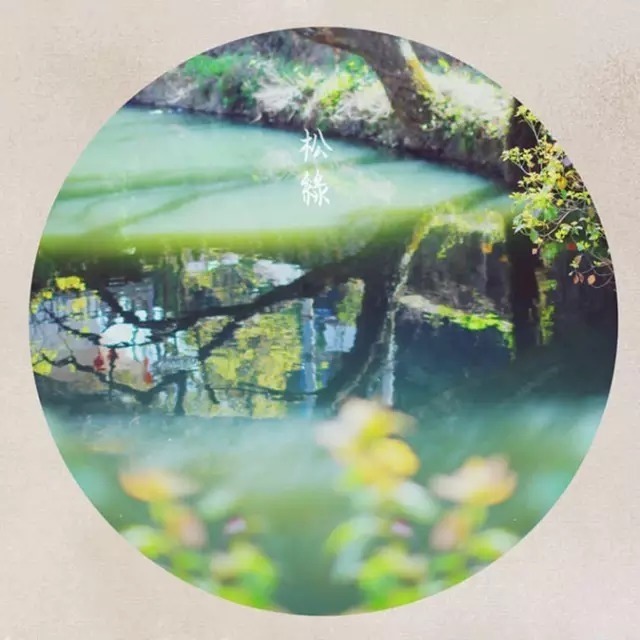  不知|金庸：情不知所起，一往情深