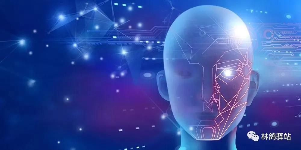 文本|你知道数据标注在金融行业会用到哪些技术吗?