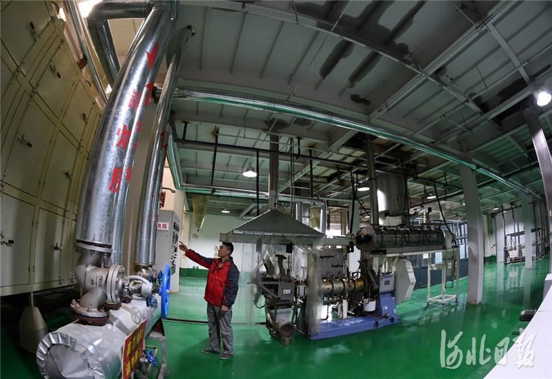 集群|河北邢台：宠物产业集群助力区域经济发展