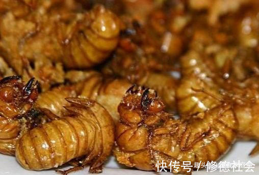 多喝|喝酒的行家都说,如果碰上这几道下酒菜,最少能多喝半斤酒!