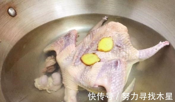 鸽子|不知道秋冬要怎么进补不妨吃上一锅鸽子红菇汤吧，美味营养，赞！