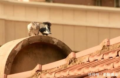 缔造者|中国地产大王、汉口繁华的缔造者，终是在这里长辞