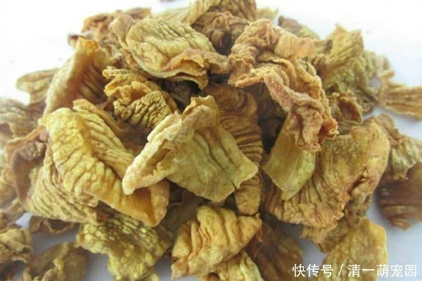 鸡胗|鸡内金堪称一两金,连石头都能消化,人吃了会发生什么结果