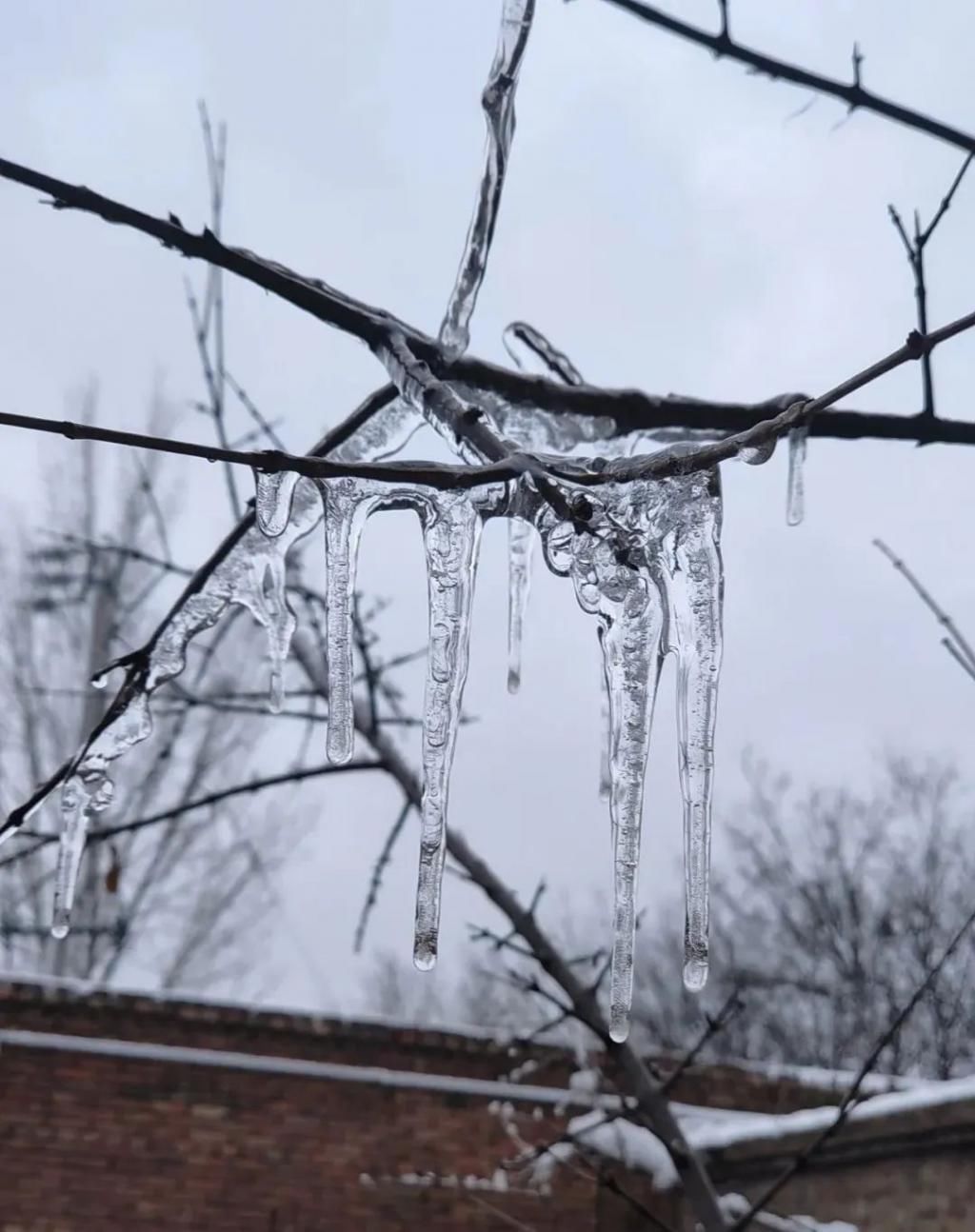 等我老了以后,找个小院陪你养花种菜!
