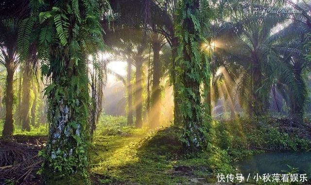 粉色|今夏穿“初恋色”也太美了!清新又甜美,还很显白