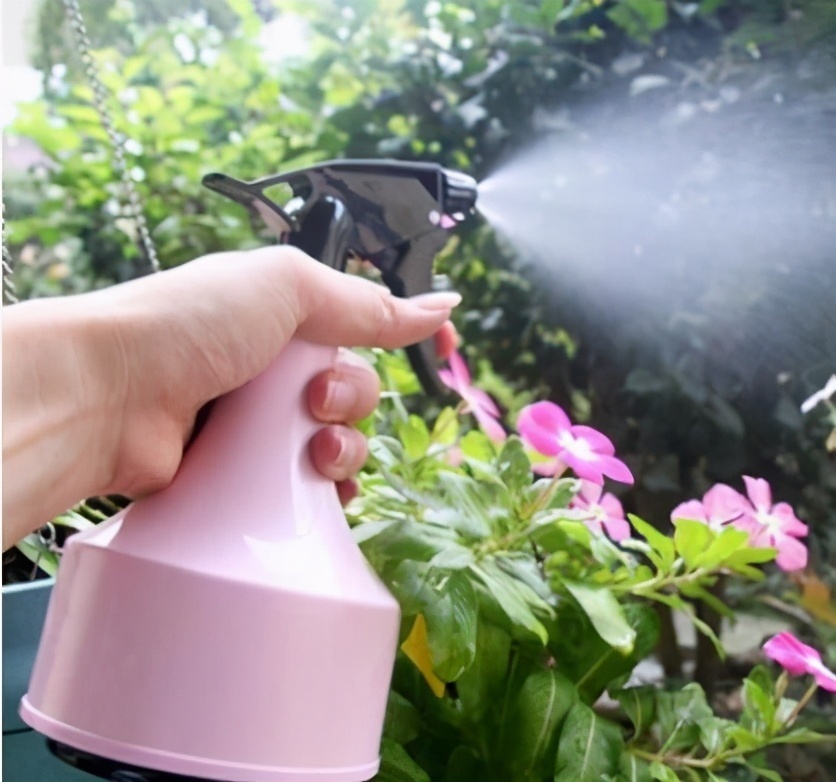 习惯|给花浇水时,这3点习惯不能有,不然土壤结块,花儿烂根