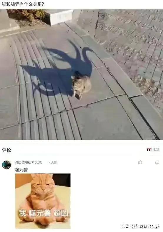 |搞笑神评:和女孩子约会一定要去爬山,坡越陡越好!都是套路啊