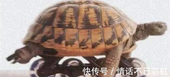 |夫妻搞笑段子:就算啥也不穿,也跟一大肉包子似的