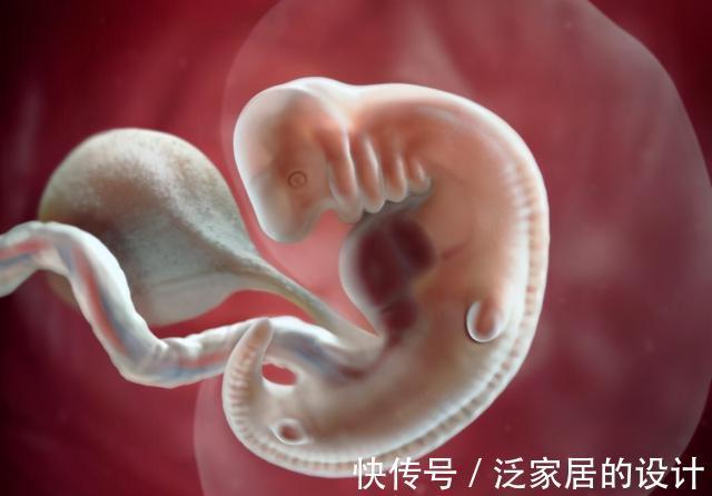 宝宝|孕早期有啥注意事项?孕5~8周,宝宝这些变动,暗示家长要多上心