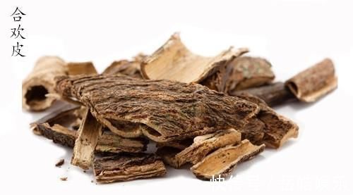 失眠|治“忧郁失眠”最合理的方子两味药，让你少发愁、多睡觉