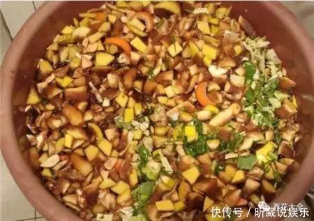 4种垃圾不会分类别担心，埋在花盆底，叶子绿得直滴油！