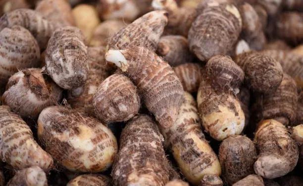 排毒养颜|想长寿全靠吃,平时吃的3种食物,补气养血,排毒养颜,肌肤好了