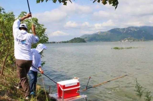 冬钓板鲫,一定常去这2个地方,藏鱼多