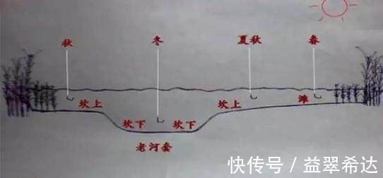 觅食|出门钓鱼,请做好这些准备,免得临到钓点手忙脚乱