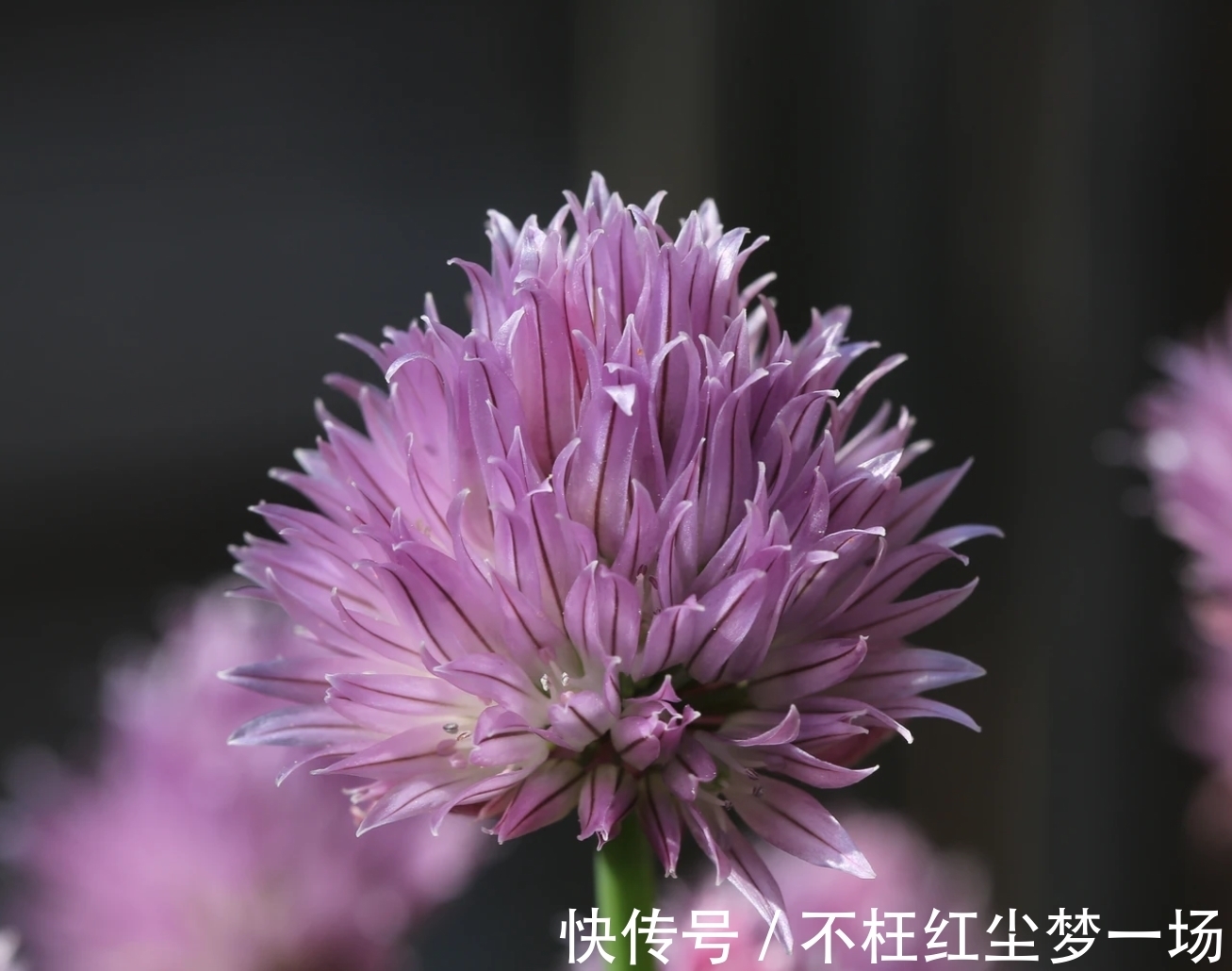 巨蟹座|7月，城府很深，缘分很浅，3星座桃花炸裂，姻缘归位，旧情复燃